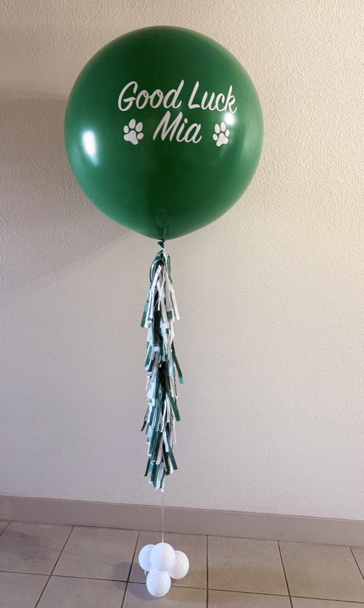 Custom printed Good Luck balloon